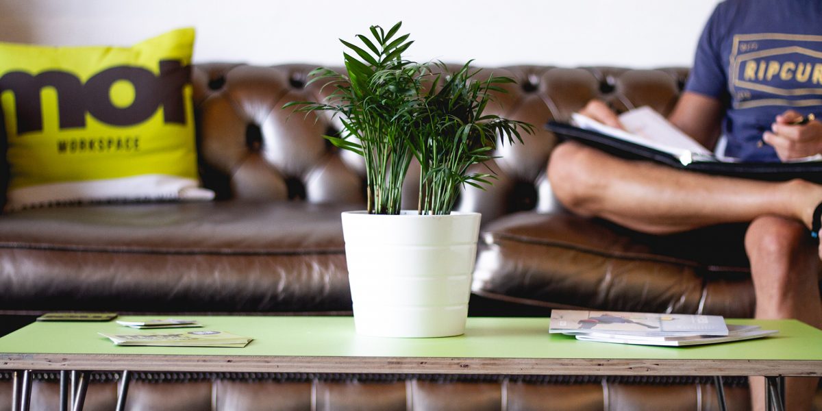 Sofa with branded cushion behind coffee table with plant on